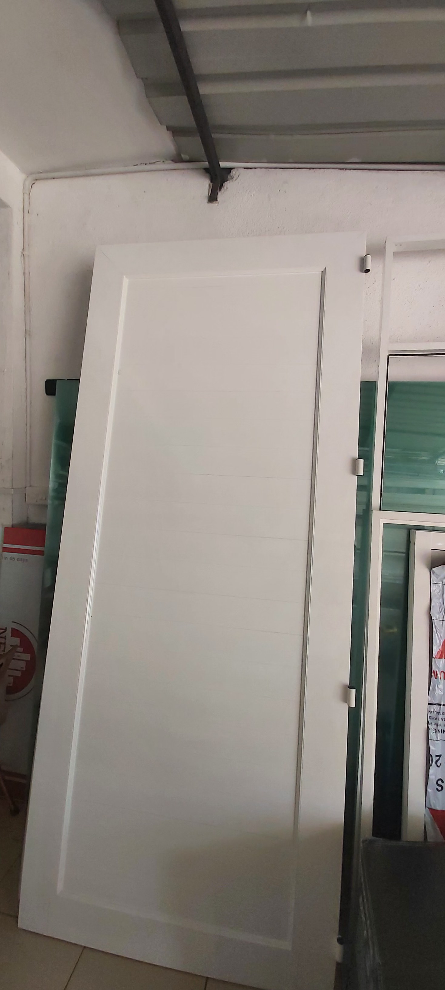 Panel Door (R) (P01)